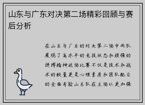 山东与广东对决第二场精彩回顾与赛后分析