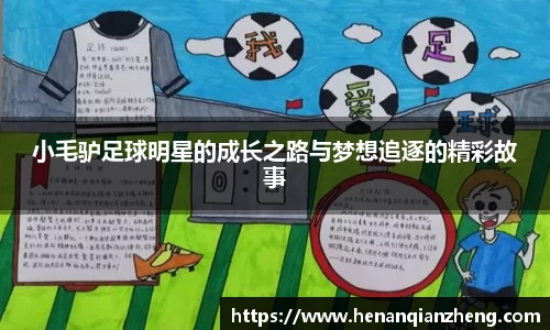 小毛驴足球明星的成长之路与梦想追逐的精彩故事